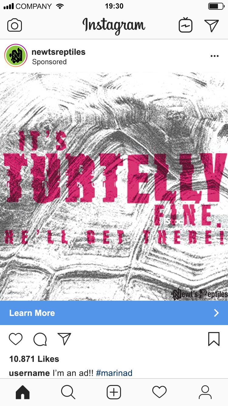 Instagram ad reading It's turtelly fine, we'll get there, with letterforms filled with turtle shell texture
