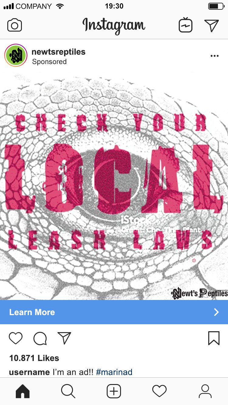 Instagram ad reading Check your local leash laws, with letterforms filled with reptile skin texture